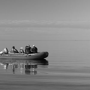 IMG_8185