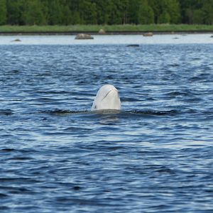 IMG_8494