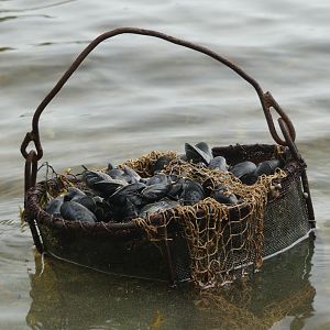 IMG_8981