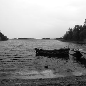 IMG_8990