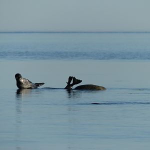 IMG_7953