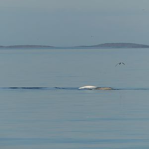 IMG_8008
