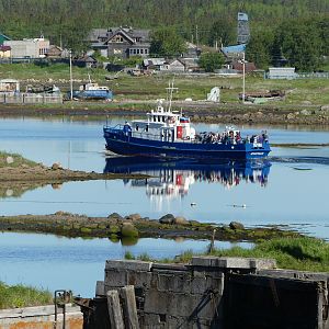 IMG_8239