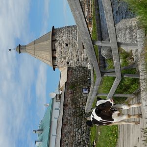 IMG_8326
