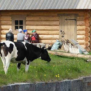 IMG_8334