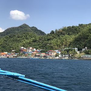 IMG_6195
