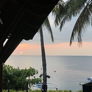 IMG_6221