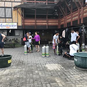 IMG_6347