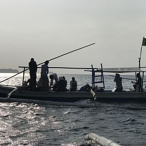 IMG_6348