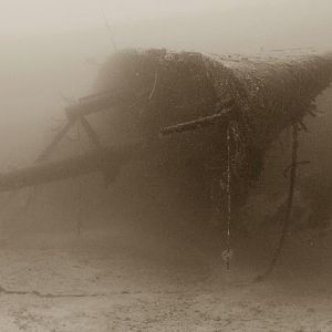 Hilma Hooker