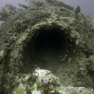 CRW_5053