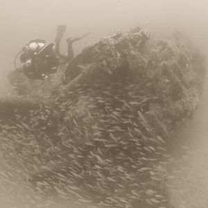 CRW_5095