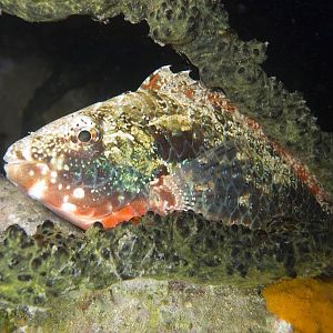 CRW_5507