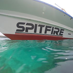 Spitfire