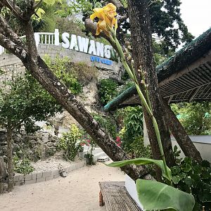 Verde Island