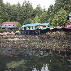 Low Tide