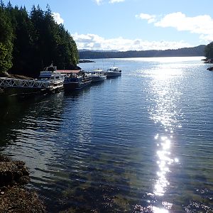 the cove