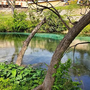 Comal02