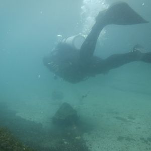 Not LakeDiver - MAR Comal