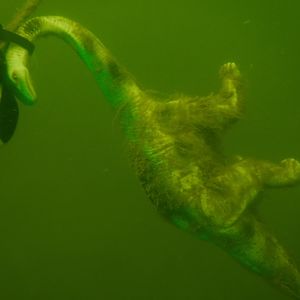 BDSM Dinosaur - April Lake Longhorn
