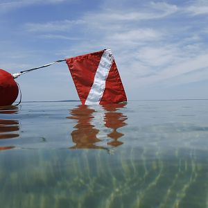 Dive Flag - June Elk Rapids, MI