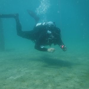 24% With The Pilings 01 - June Elk Rapids, MI