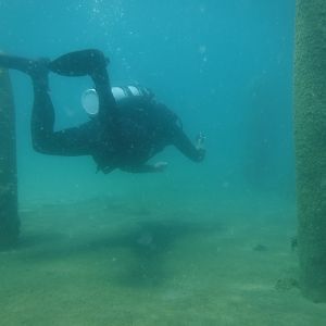 24% With The Pilings 02 - June Elk Rapids, MI