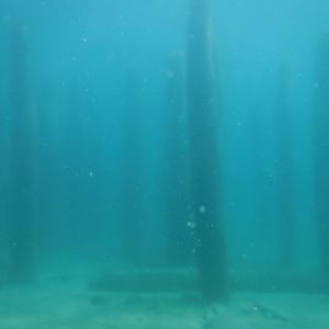 Old Pier Pilings 04 - June Elk Rapids, M
