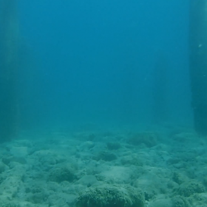 Old Pier Pilings 05 - June Elk Rapids, M