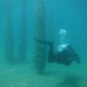 24% With The Pilings 04 - June Elk Rapids, MI