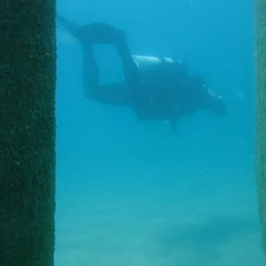 24% With The Pilings 07 - June Elk Rapids, MI