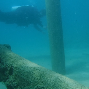 24% With The Pilings 08 - June Elk Rapids, MI