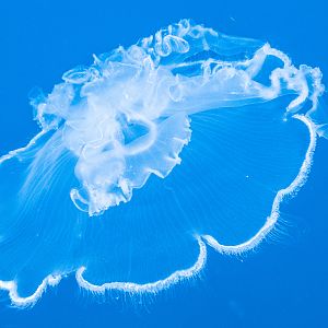 P8220394
