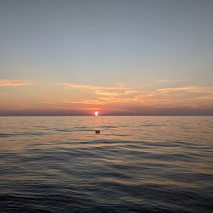 Waiting for the night dive at Stetson