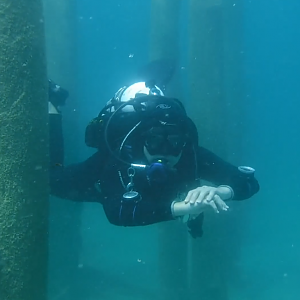 Siren With The Pilings 01 - June Elk Rapids, MI