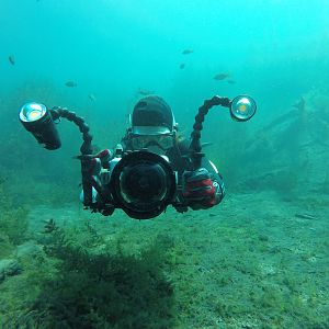 Birddog, a fish eye view