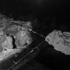 P2012113-2