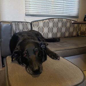 Ellie made herself right at home in our camper