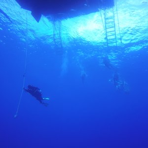 21 - Safety Stop.JPG