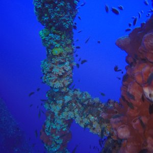 17 - HI 376B growth on structure.JPG