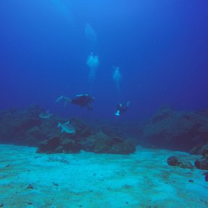 9 - Reefhound and Watermonkey on EFGB.JPG