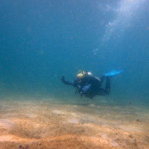 1658196052884-635102834.jpg