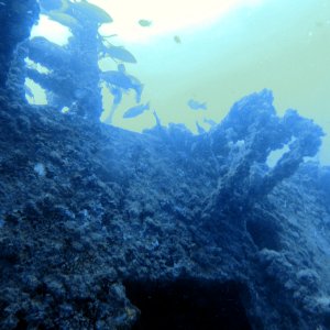 Spiegel Grove