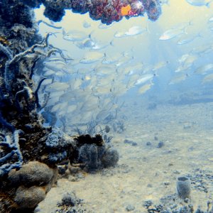 Spiegel Grove