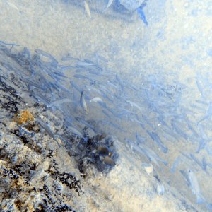Spiegel Grove