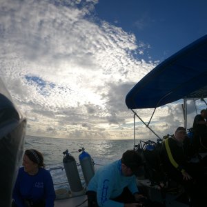 Early Boat Ride