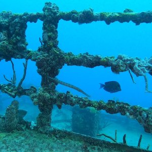Spiegel Grove Railing