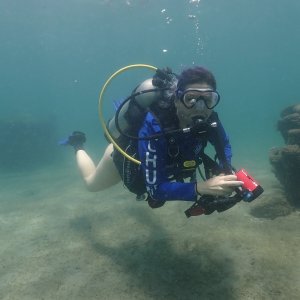 Lakediver