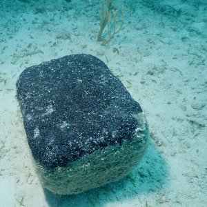 Lump o' coal