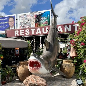 How we knew we picked the right restaurant